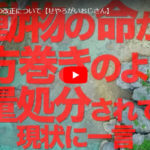 動物愛護法の改正について【せやろがいおじさん】