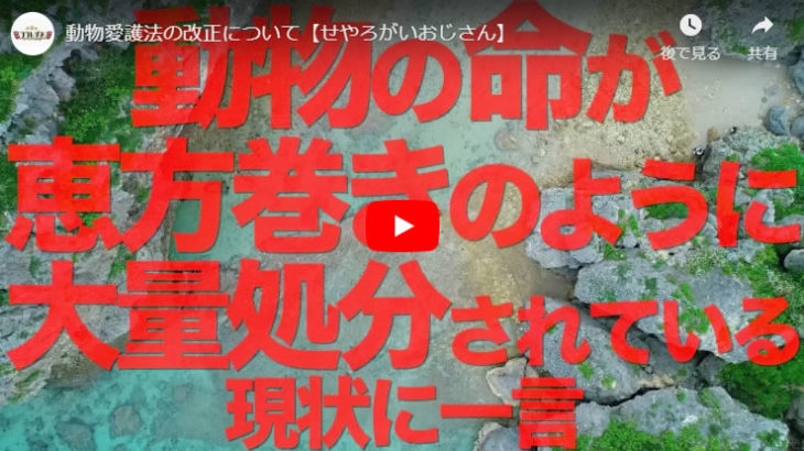 動物愛護法の改正について【せやろがいおじさん】