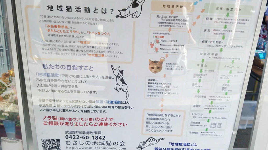 地域猫活動とは？