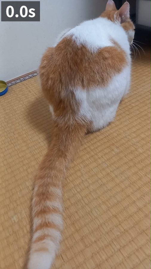 0.0秒の場面