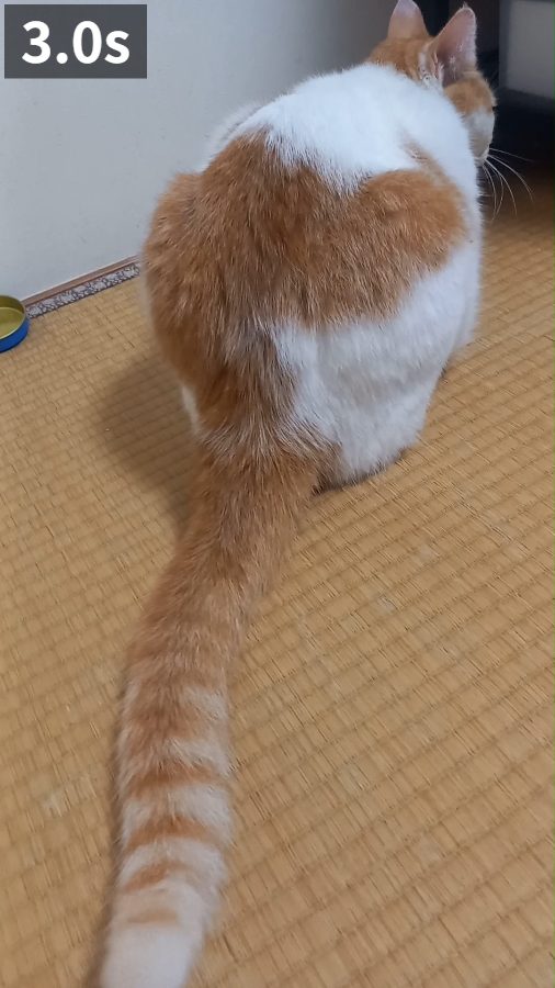 3.0秒の場面