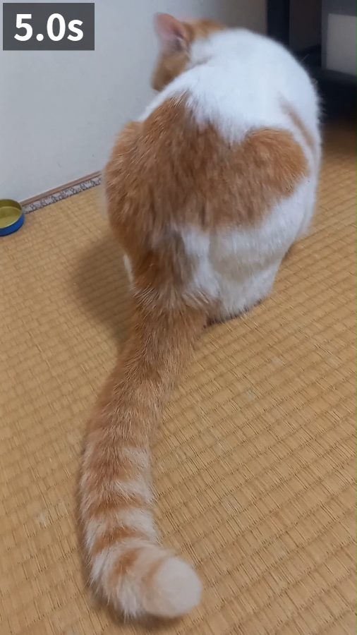 5.0秒の場面