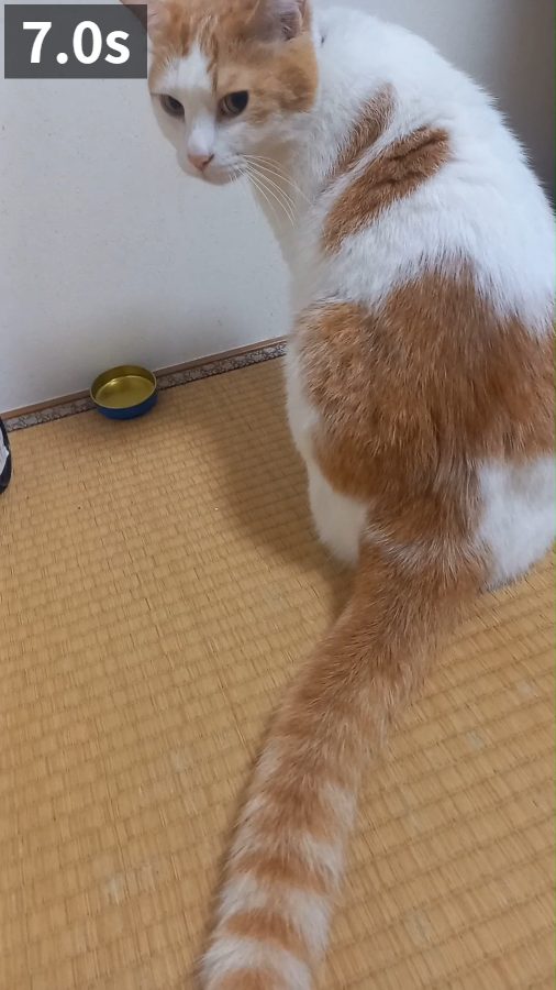 7.0秒の場面